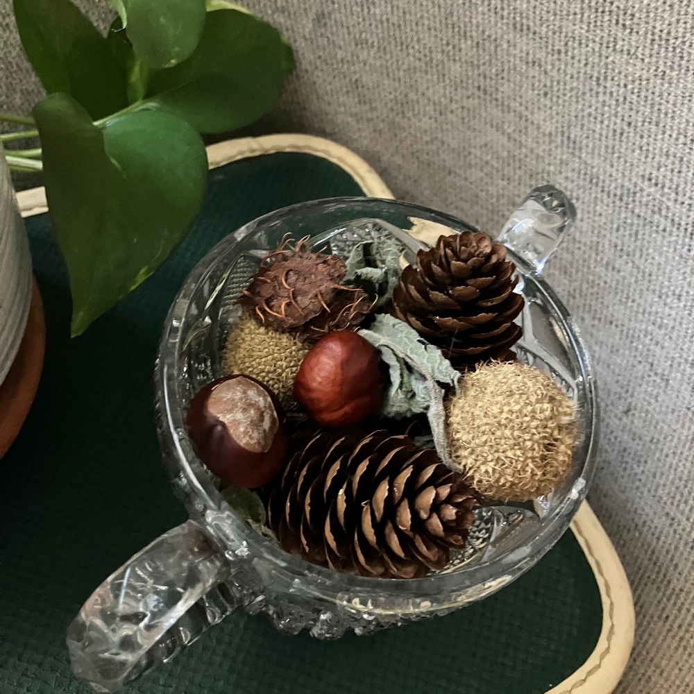 Chestnut, dried apple mint, nature pinecones Bowl Filler ~ Rustic Fall
